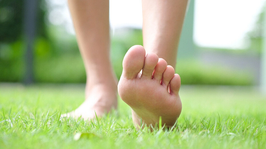     Источник: здесь и далее ShutterStock/Fotodom.ru