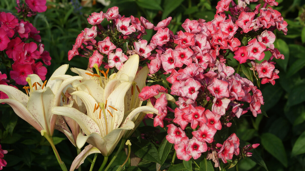 Уральские сказы в моём саду