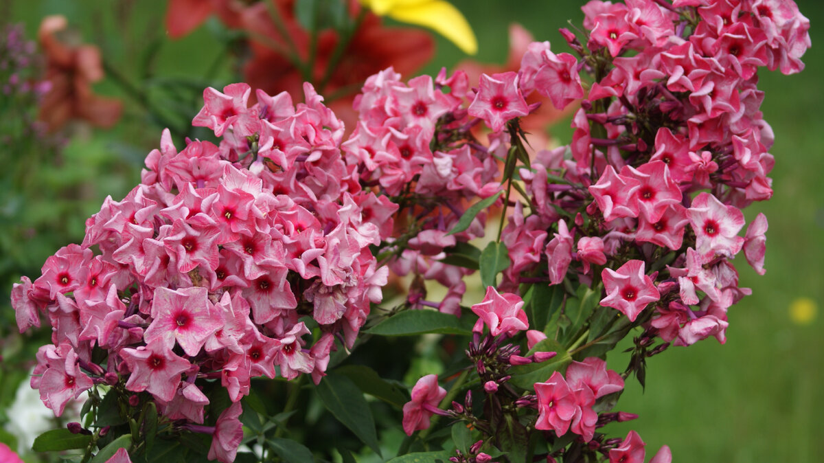 Уральские сказы