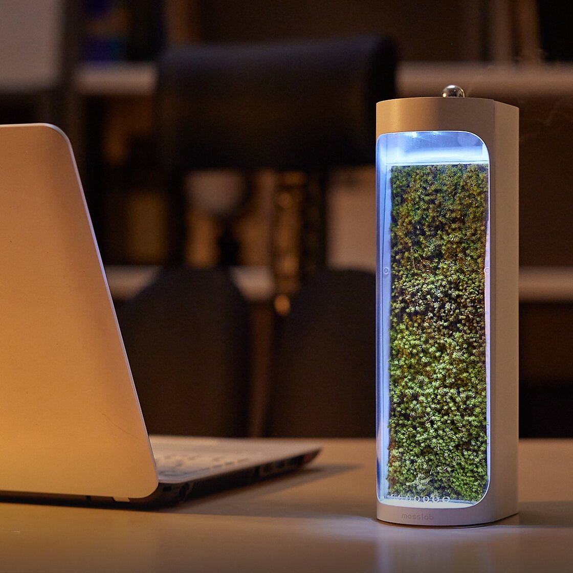    Mosslab