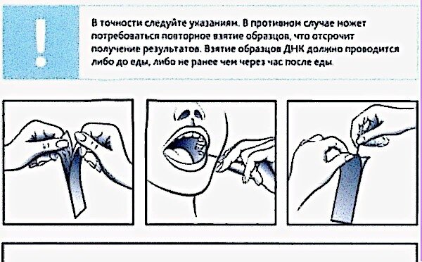 Отрывок из инструкции по отбору образца биологического материала. Рисунок из открытых источников Яндекса.