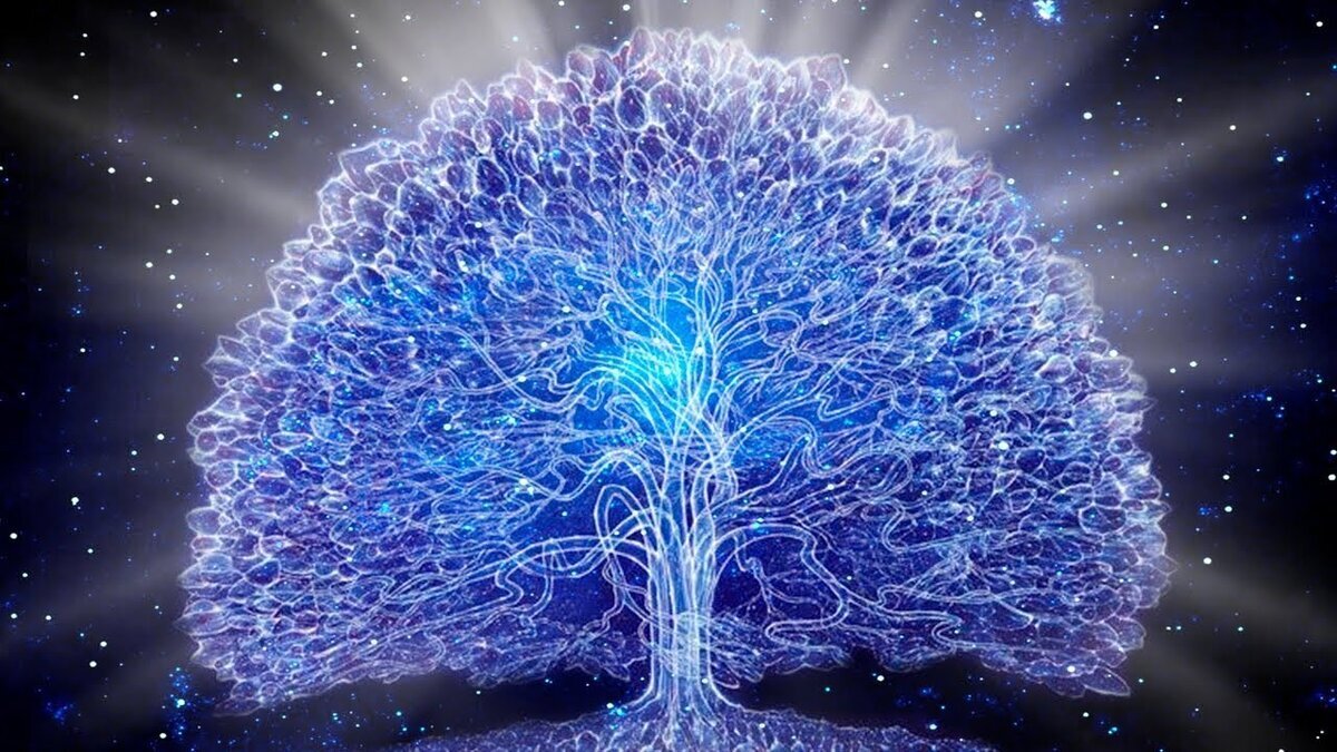 Фото с просторов интернета