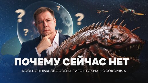 Почему сейчас насекомые не вырастают до гигантских размеров