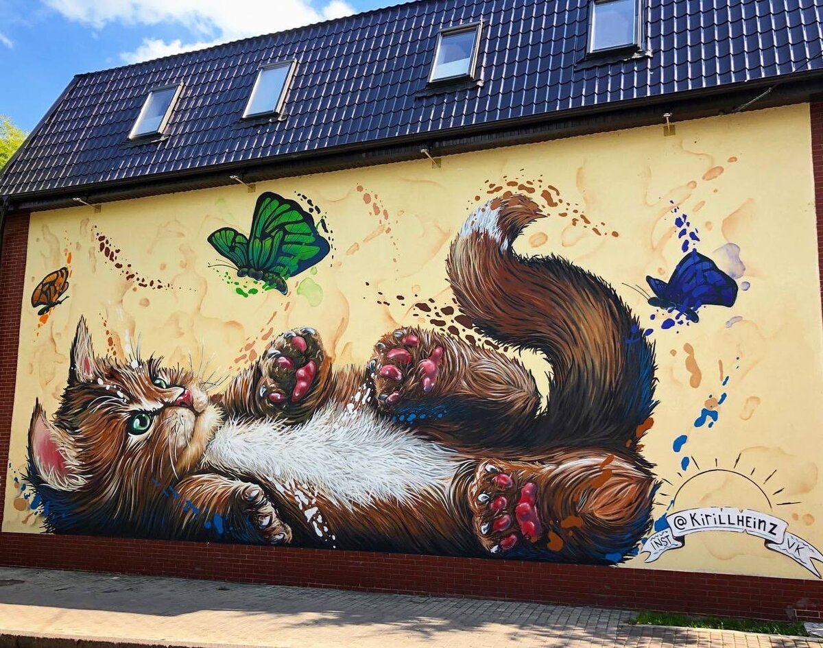 Зеленоградск носит звание мировой кошачьей столицы.  Фото: Фото предоставлено Кириллом Гейнцем