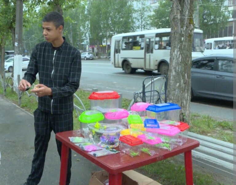 Продавец красноухих черепашат
