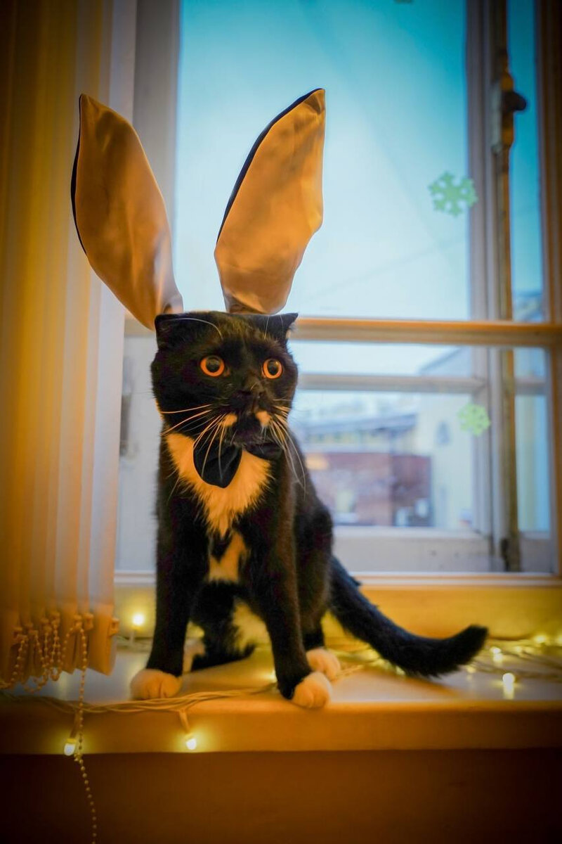 Надо ли отрабатывать две недели при увольнении. Последний день увольнения считается рабочим днем. Выплачиваются при увольнении неотгуленный отпуск. Уволился с работы. Больничный лист после увольнения.