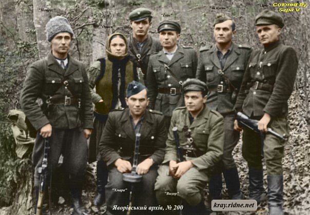 Бандеровцы
