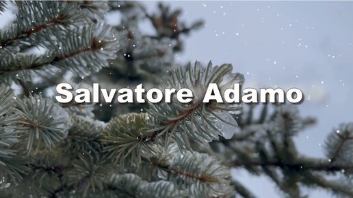 Salvatore Adamo. Падает снег. Музыка для души