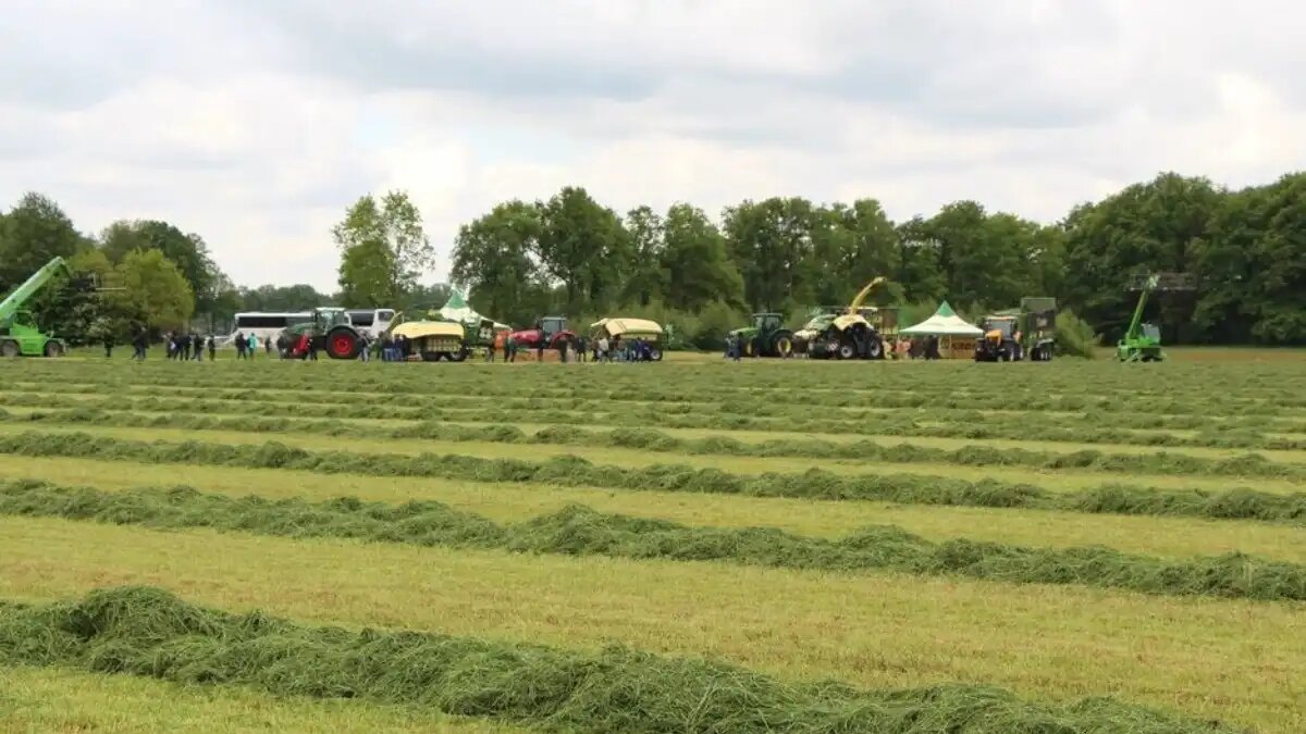 Фото:© Владимир Исаенко / Glavagronom.ru Эксперты ожидают, что для сельского хозяйства России климат станет одним из серьезных вызовов
