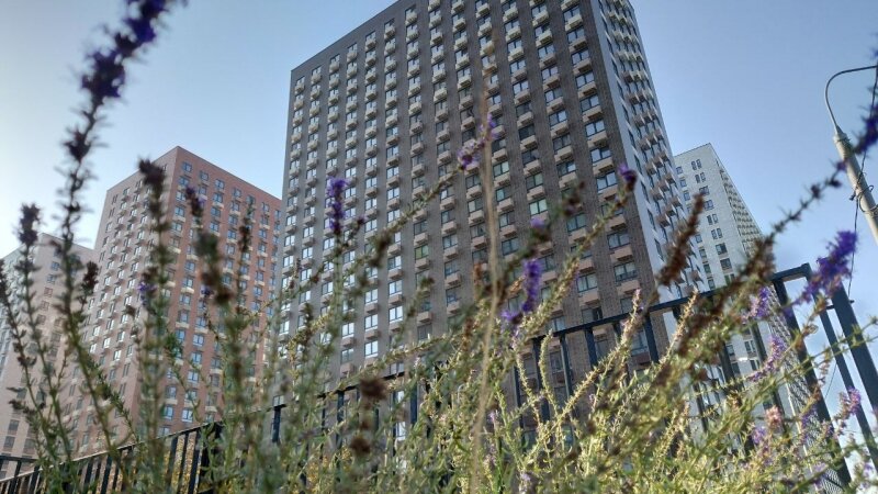 Новостройка. Недвижимость. Фото: REX