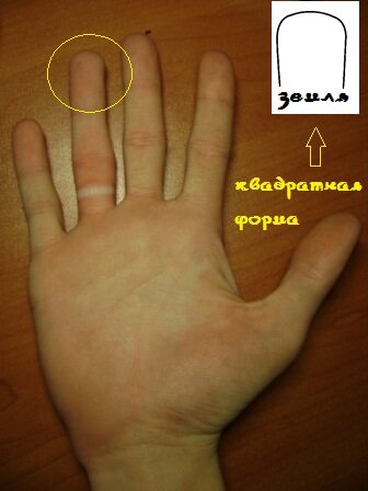 Квадратная форма пальцев - стихия земля.