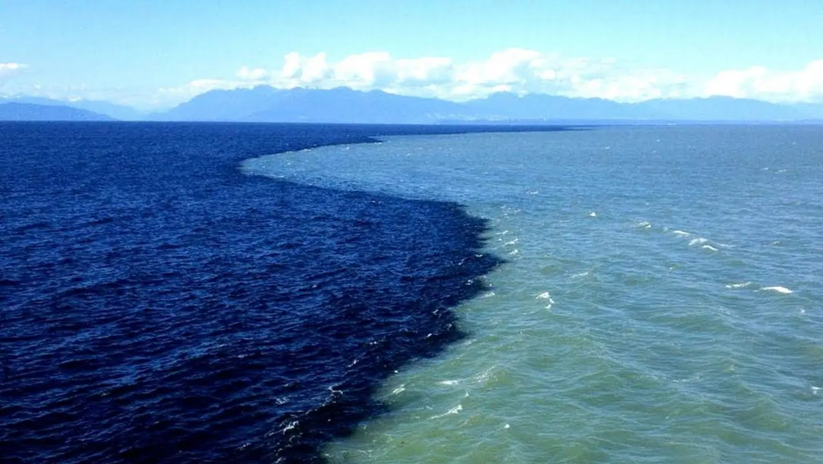 Место с пресной водой. Карибское море Атлантический океан. Мыс Скаген. Северное и Балтийское море.