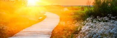 ясность в бизнесе, жизни и Интернете 