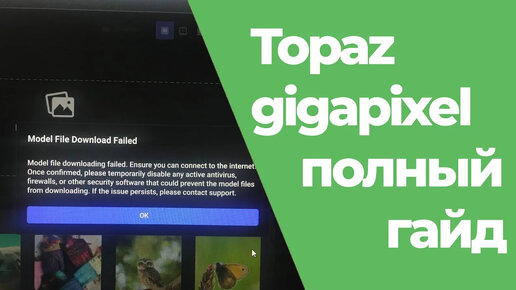 Загрузка файла модели не удалась topaz, Мodel file download failed topaz