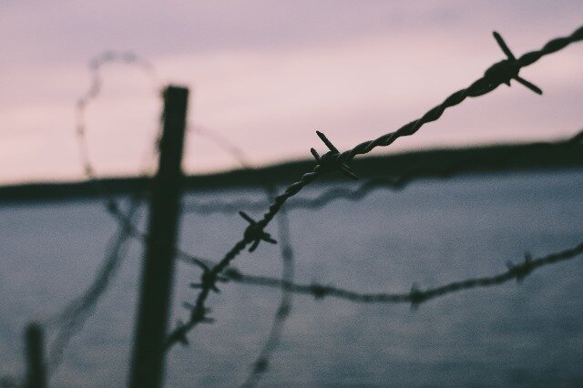 Фото: pexels.com