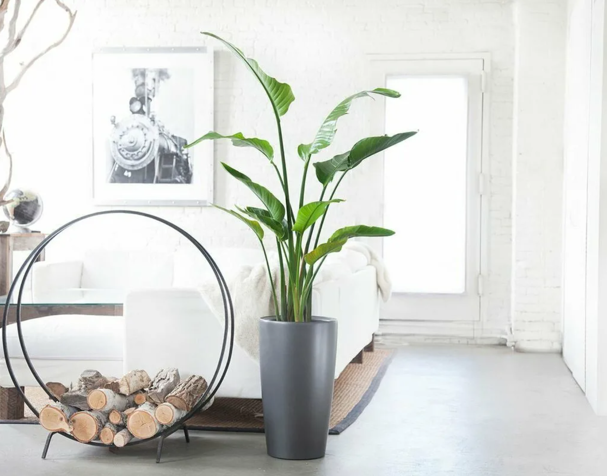 Источник фото: akrasdia.ru