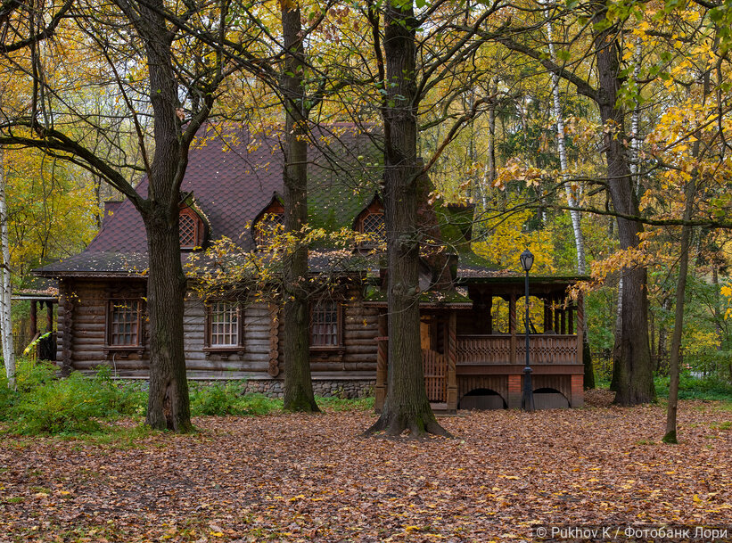 Дом стоял практически в лесу