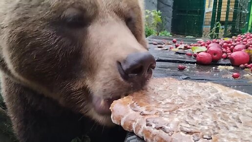 Городецкий пряник для медведя Мансура.