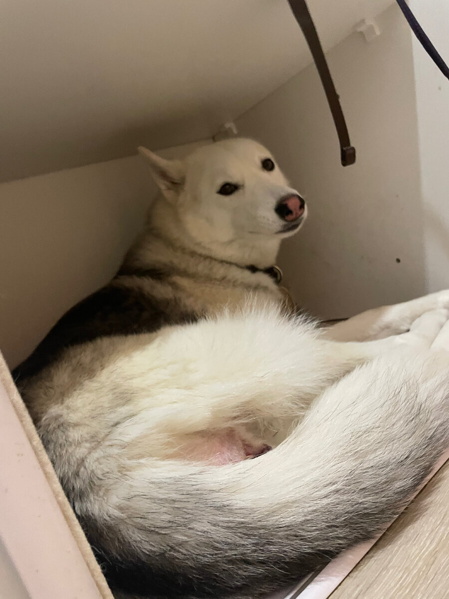 Умочка( мама)