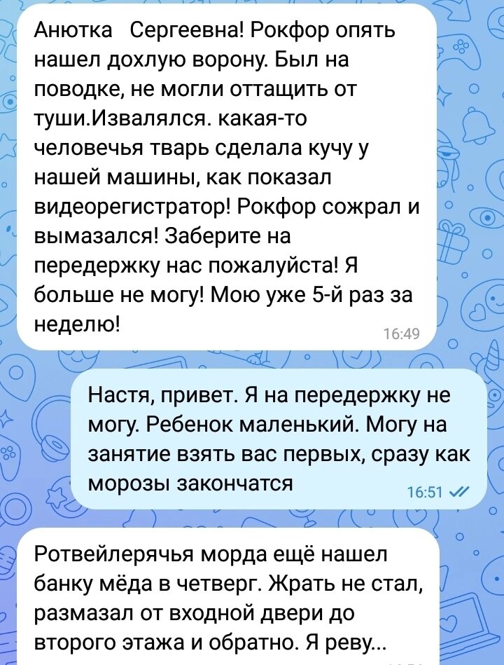 Самое главное, что Рокфор считает себя правильной собакой. Всё, чему мама в детстве научила, применяет с большим удовольствием. 