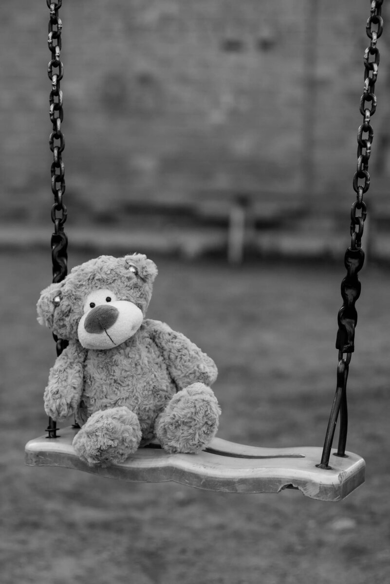 Картинка из сети интернет 