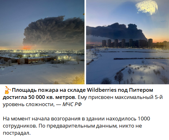 В одном из самых значимых промышленных районов Санкт-Петербурга, в Шушарах, произошло событие, которое вызвало обширное внимание со стороны общественности и СМИ.-15