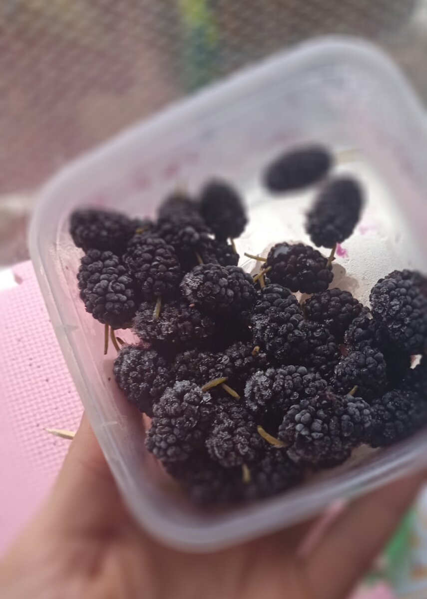 Заморозила на пробу. Вкус сохранился, надо в этом году больше заморозить. 