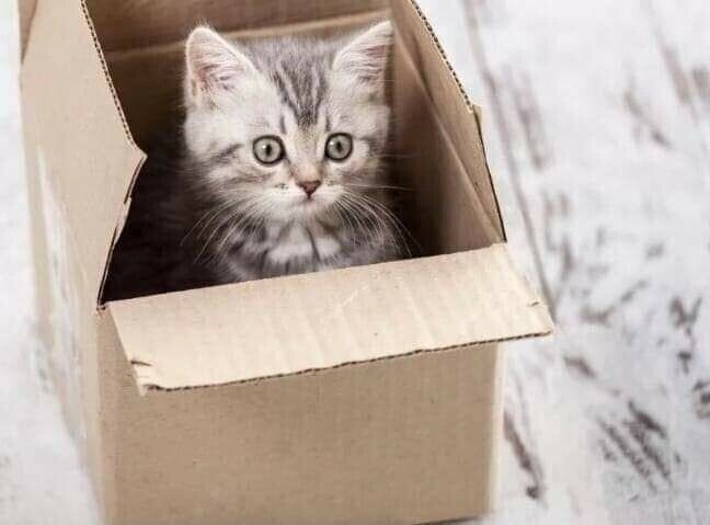 Фото из доступного источника