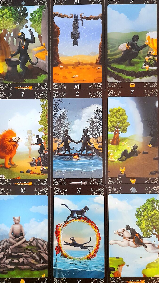 Расклад На Таро Черных Котиков