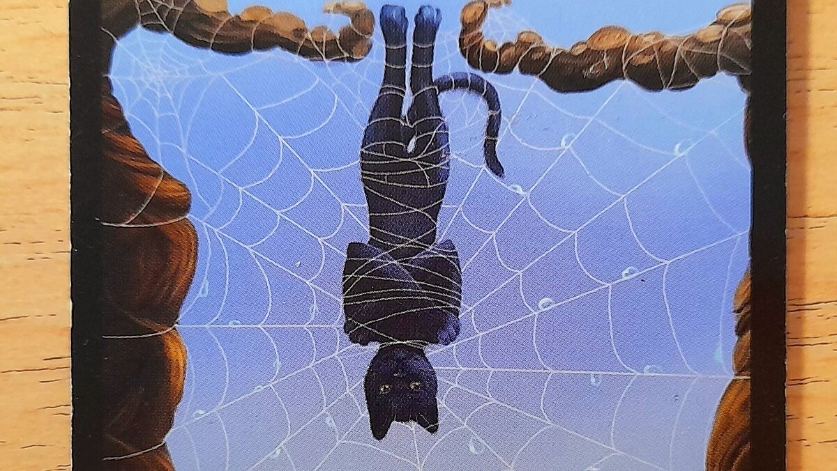 Ага, сам попался, паучила?