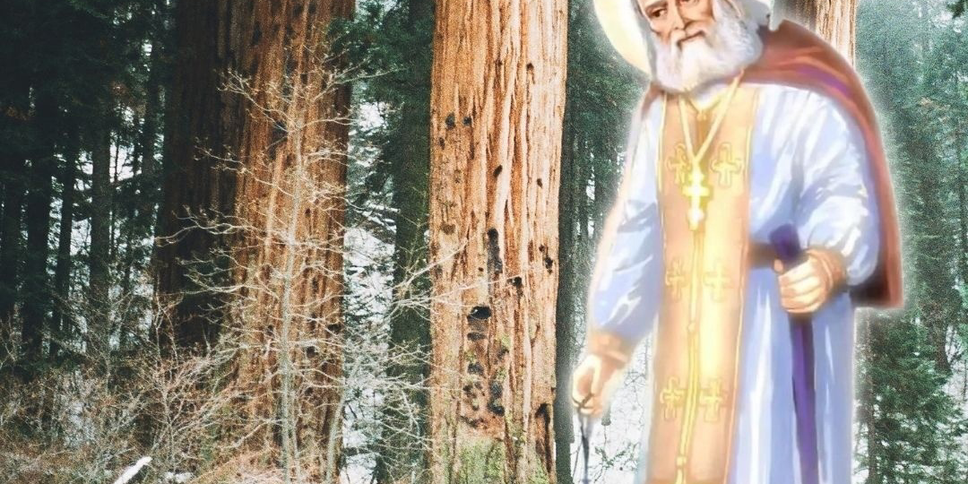 Как "накопить" благодать по совету старца Серафима Саровского