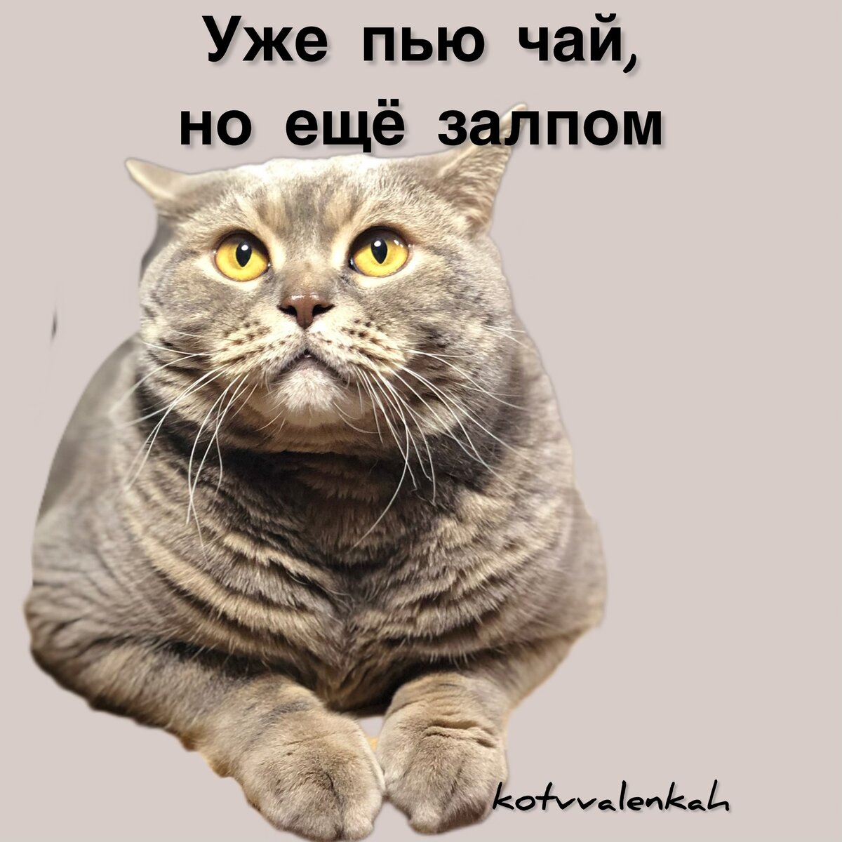 Опять суббота картинки