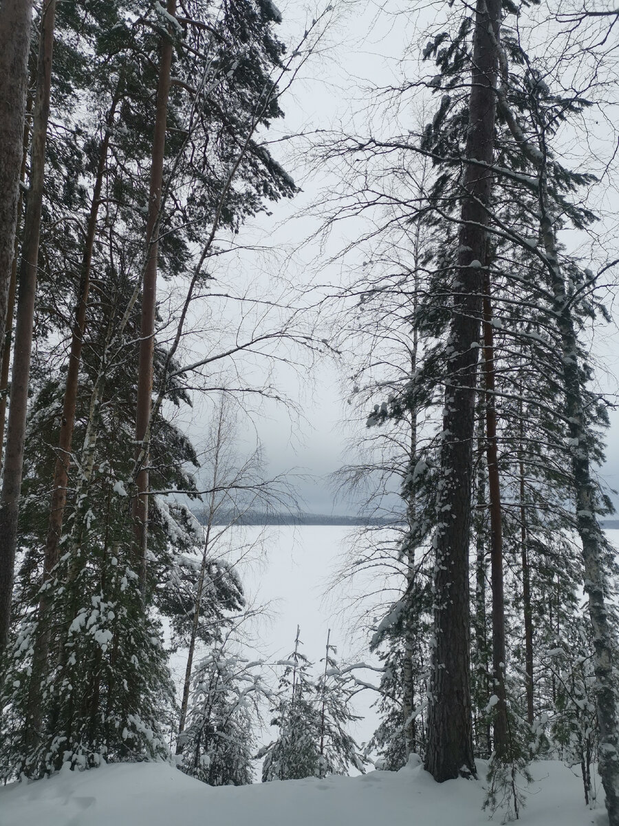 Что находится рядом с санкт петербургом