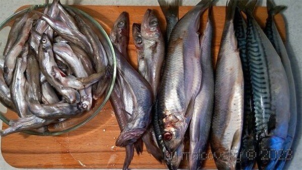 Рыба