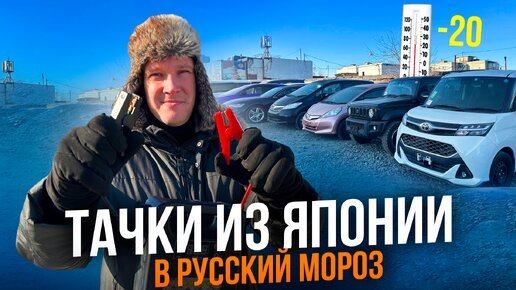 Заводим японские тачки в мороз 😱 Авто 2009 - 2020 годов выпуска приехали с аукционов Японии