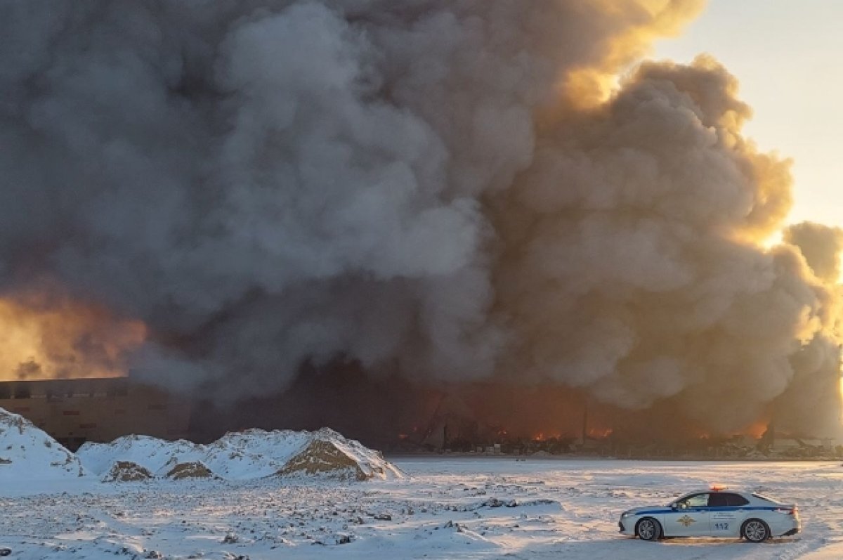    Ущерб от пожара на складе в Шушарах может составить 11 млрд рублей