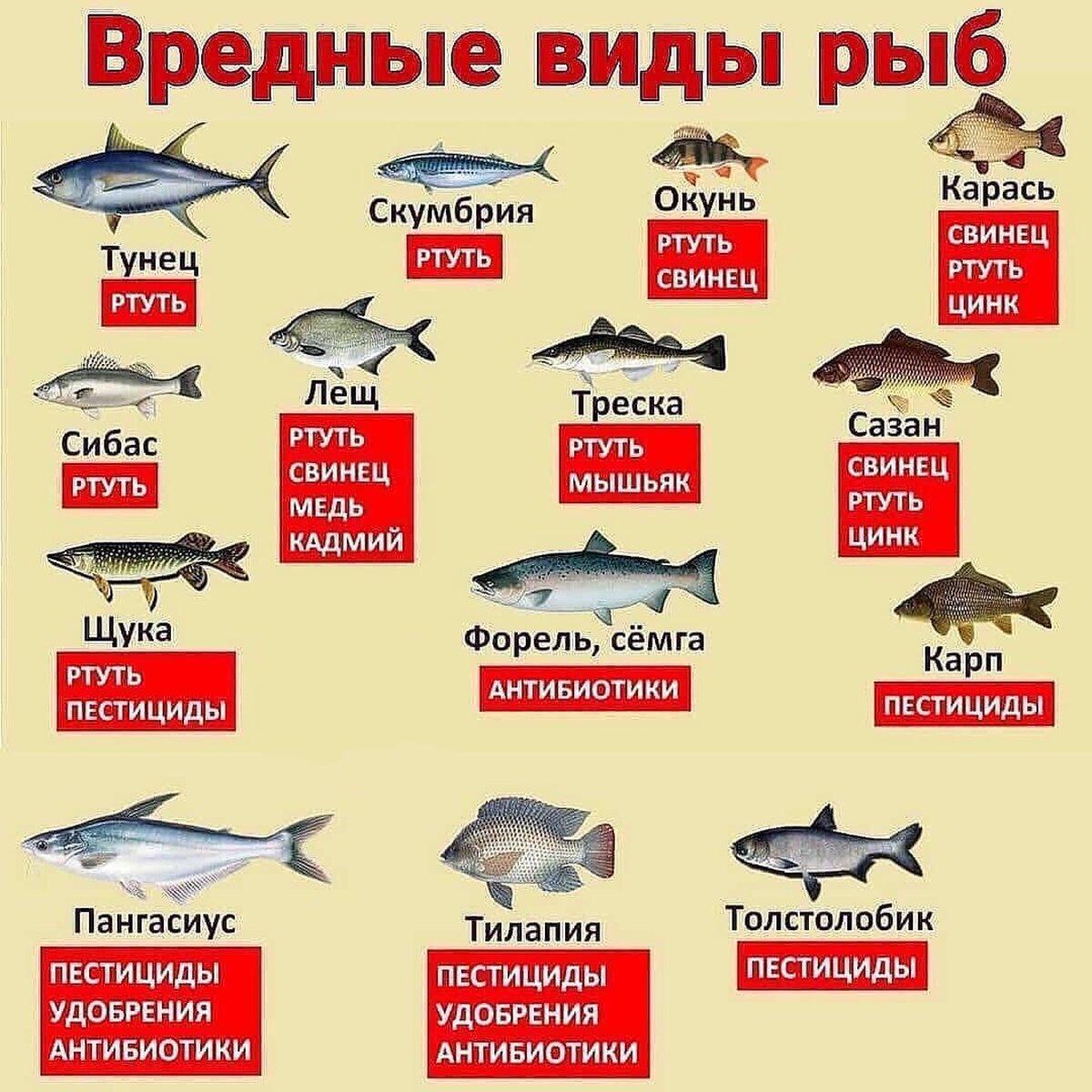 Вредные виды рыб