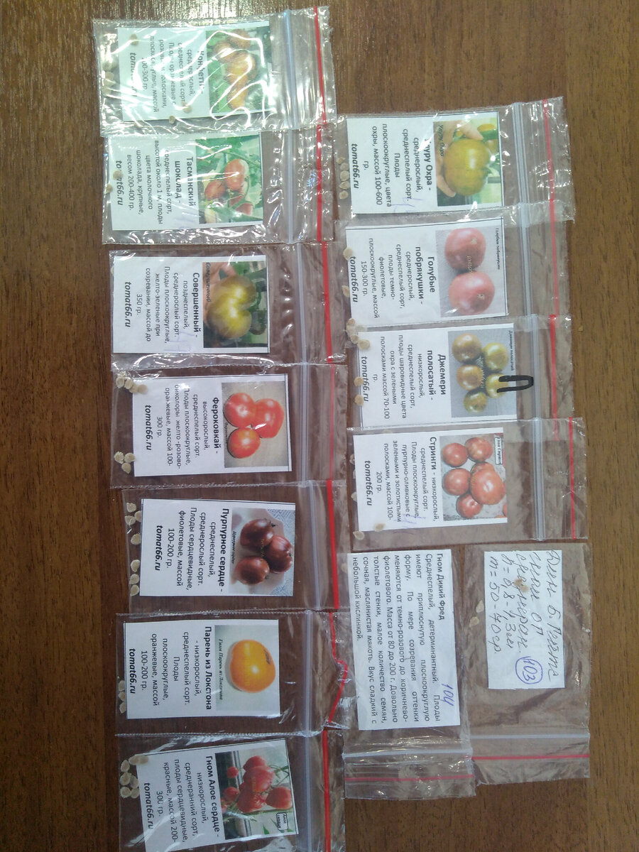 Томаты-гномы