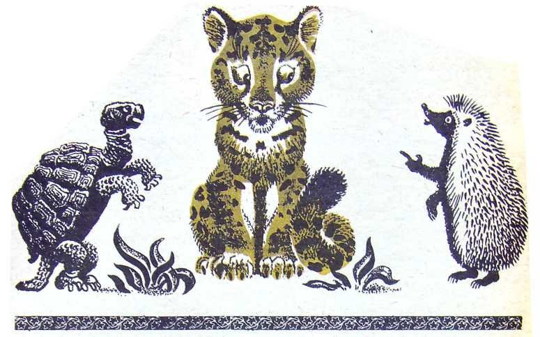 Черепаха. Ежик и маленький охотник Ягуар!