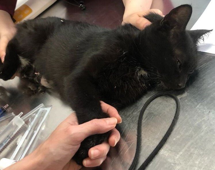 Врачи начали обследование