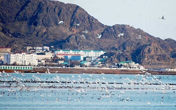 Источник фото: turkmenistan.gov.tm