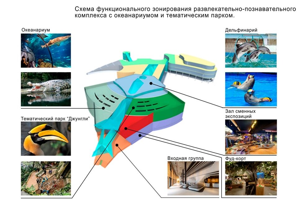 Дельфинарий схема зала