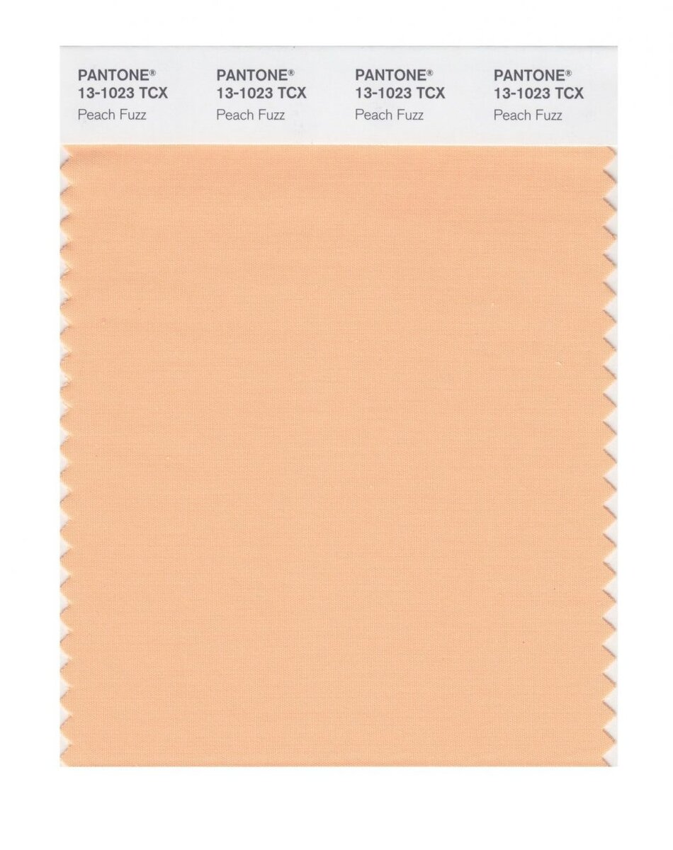 Pantone объявил свой звездный цвет на следующие 12 месяцев: "Персиковый пух" (Peach Fuzz).-2