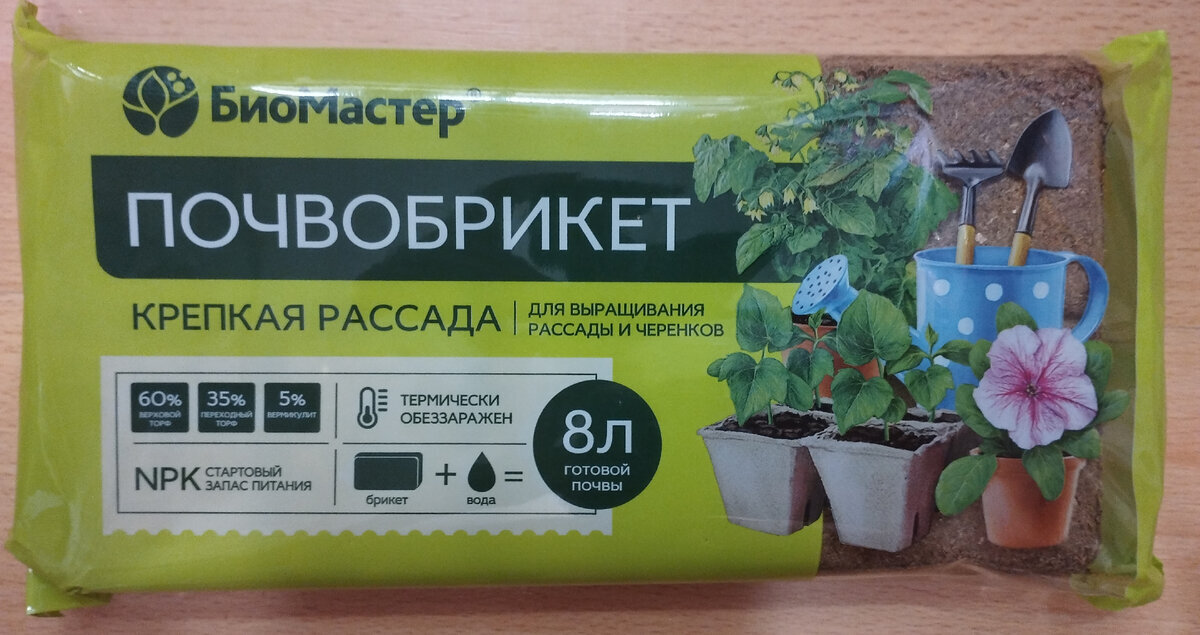 Как вырастить ель: технологии посадки и ухода, обзор способов размножения