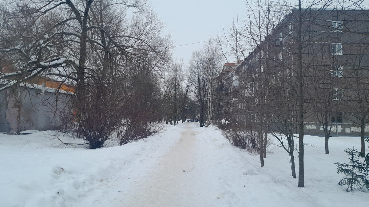 Фото Ирины Одарчук Паули Январь в городе Тосно Ленинградской области