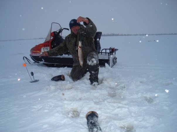 Щуку вылавливали буквально мешками