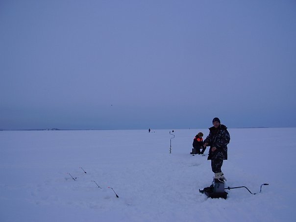 И рядом тоже много рыбаков. И целый лес удочек на корюшку