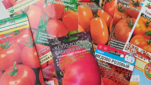 Деликатесы в мире томатов: биколоры, желтые и оранжевые сорта.