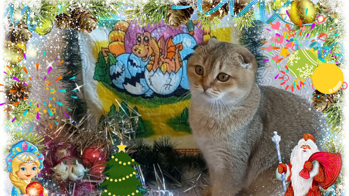 Мотя встречает Старый Новый год
