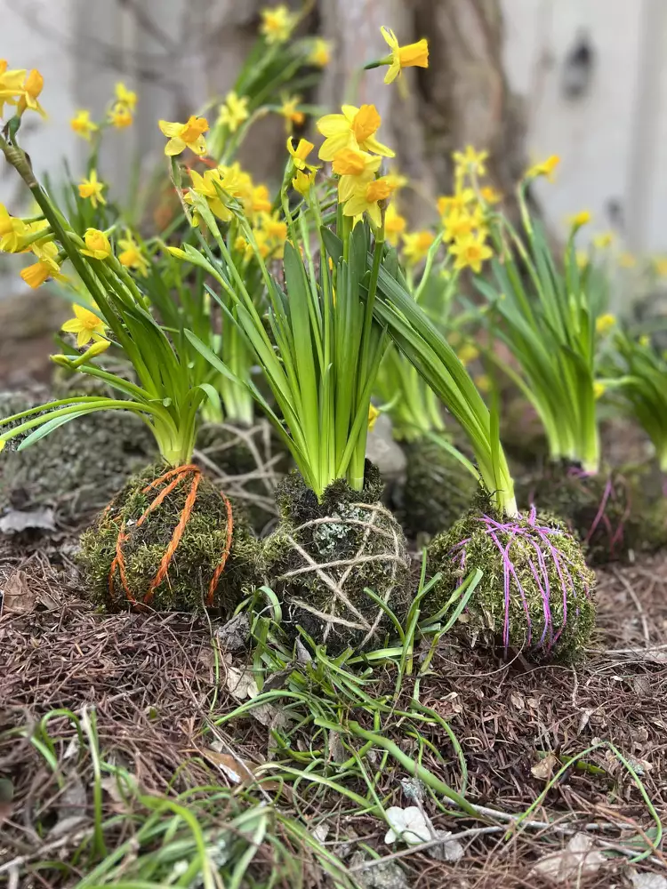 Пригласите друзей,  чтобы сделать кокедаму весело  и увлекательно.